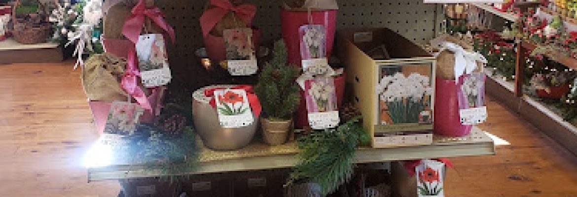 Town & Country Nurseries