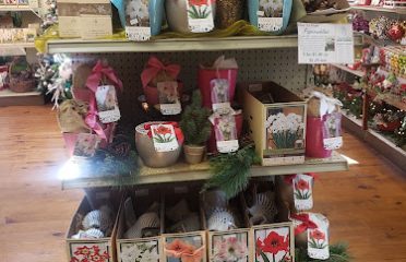 Town & Country Nurseries