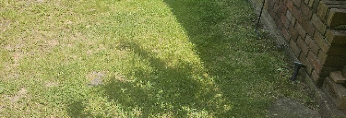 Prestige Landscaping & Masonry LLC