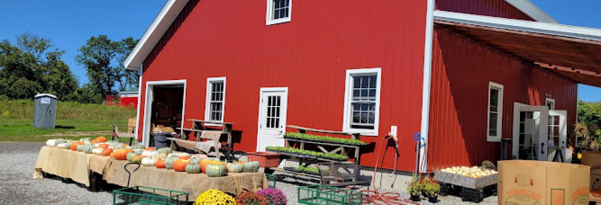 Clover Nook Farm