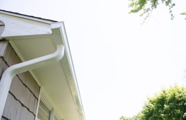 The Brothers That Just Do Gutters