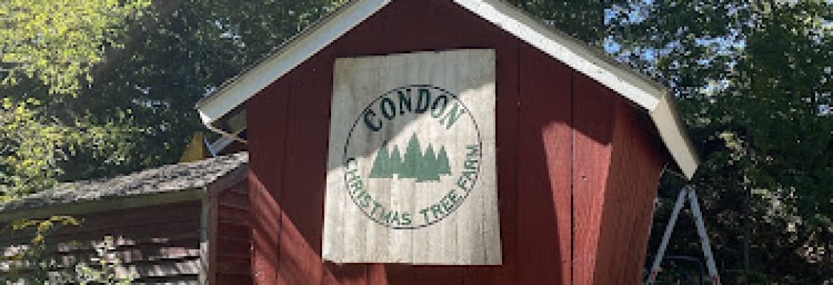 Condon Christmas Tree Farm