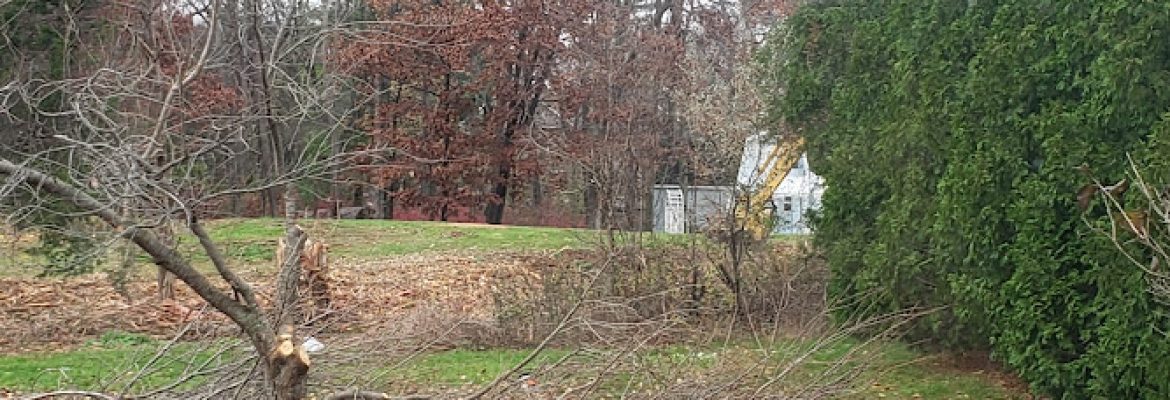 Ridgefield Landscapers & Drainage