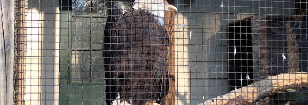 New Canaan Nature Center