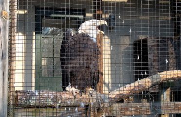 New Canaan Nature Center