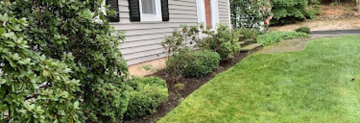 Blossom View Landscaping