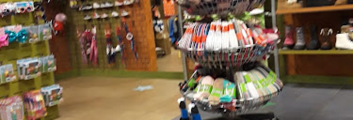 Journeys Kidz