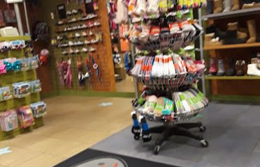Journeys Kidz