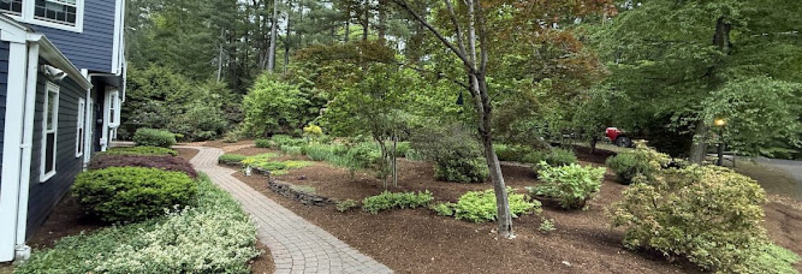 JSK Landscaping