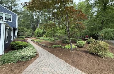 JSK Landscaping
