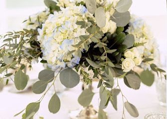 The Long Stem Flower Shoppe