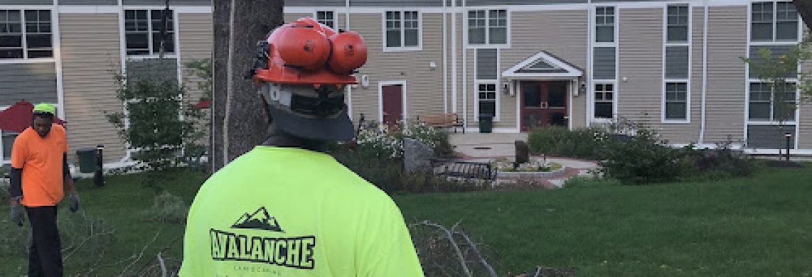 Avalanche Tree and Landscaping LLC