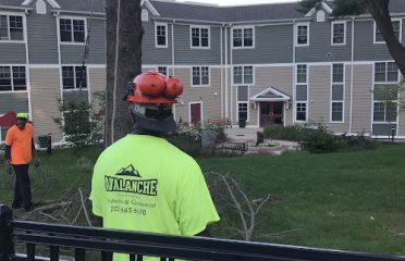 Avalanche Tree and Landscaping LLC