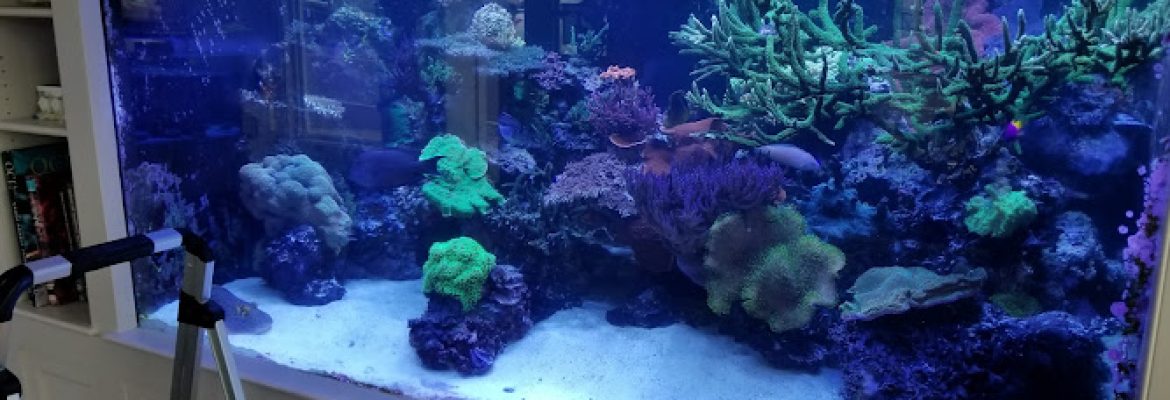 Greenwich Aquaria