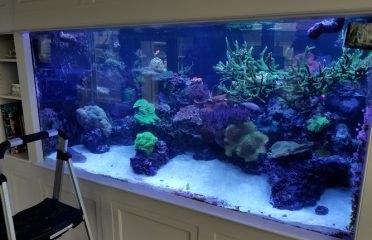 Greenwich Aquaria