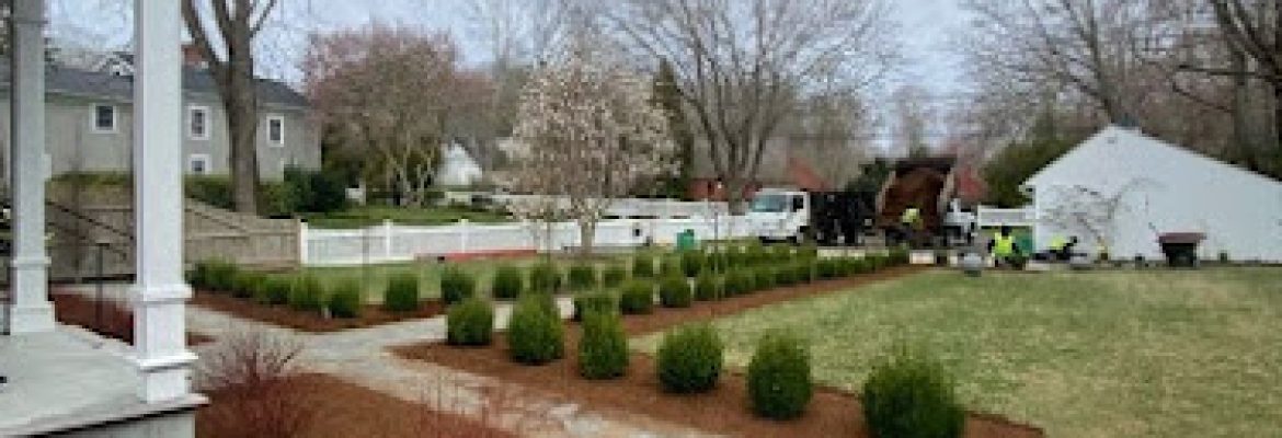 Madison Earth Care