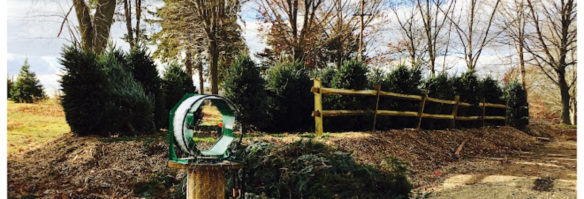 Totoket Tree Farm