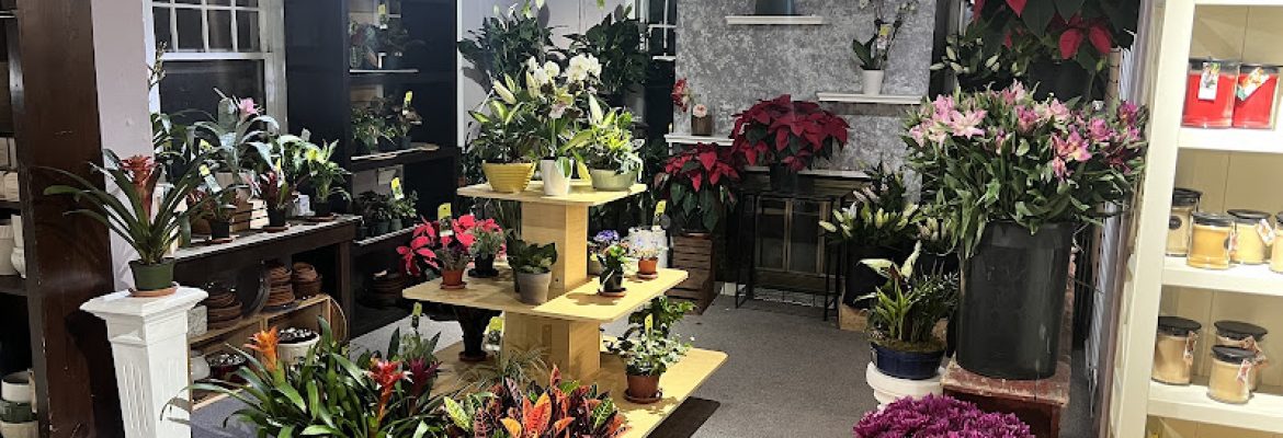 Forget Me Not Flower Shop