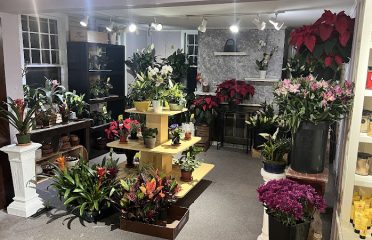 Forget Me Not Flower Shop