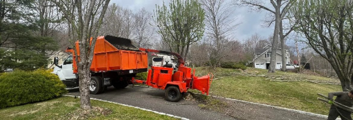 Tree Services and general contractors of CT