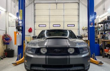 Wild side performance LLC