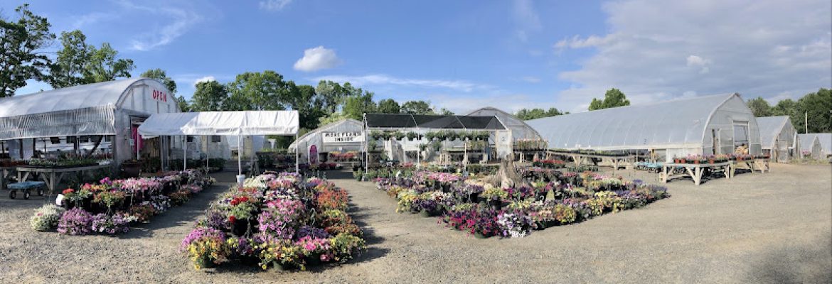 Verab Greenhouses