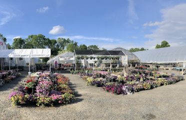 Verab Greenhouses