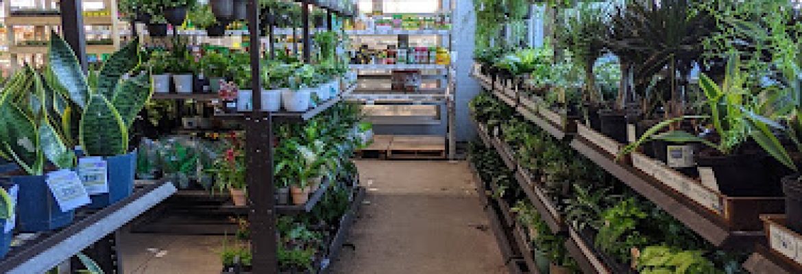 Lowe’s Garden Center