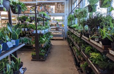 Lowe’s Garden Center