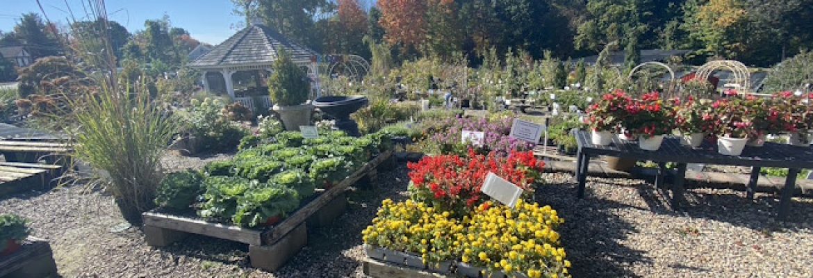 Garden Sales llc