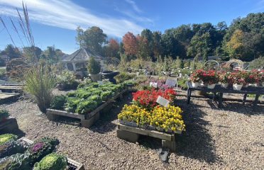 Garden Sales llc