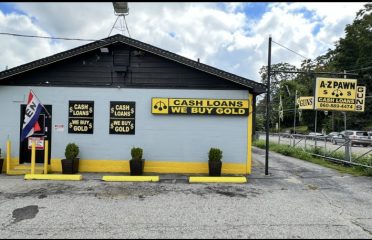 AZ Pawn of Norwich
