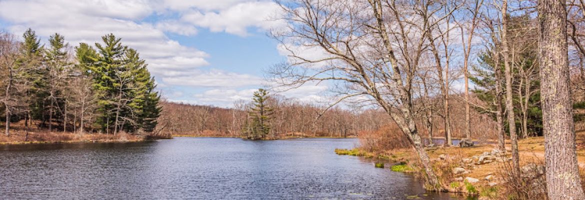 Gay City State Park