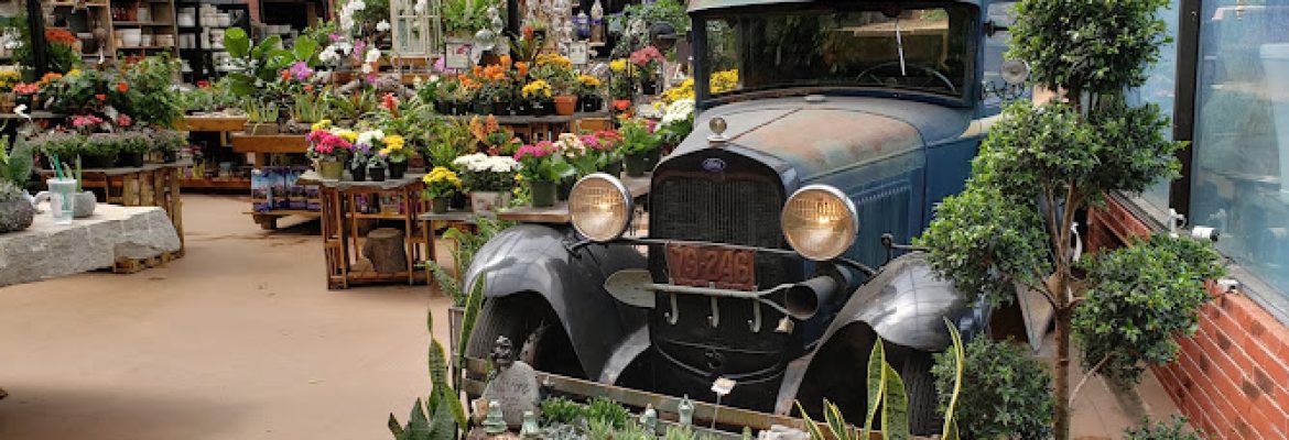 Hollandia Gift & Garden