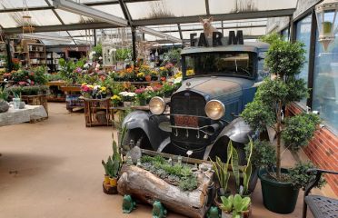 Hollandia Gift & Garden