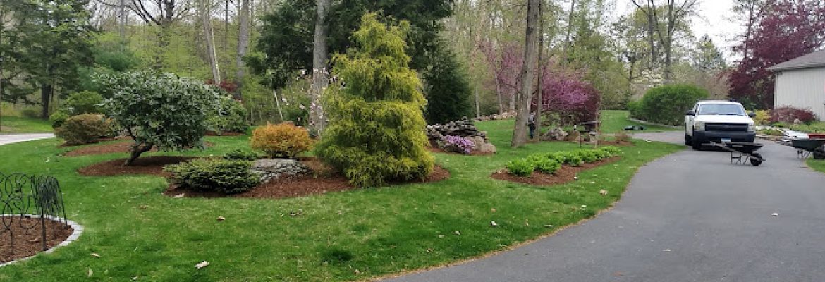 Landscape Company