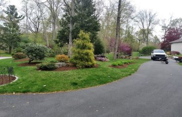 Landscape Company