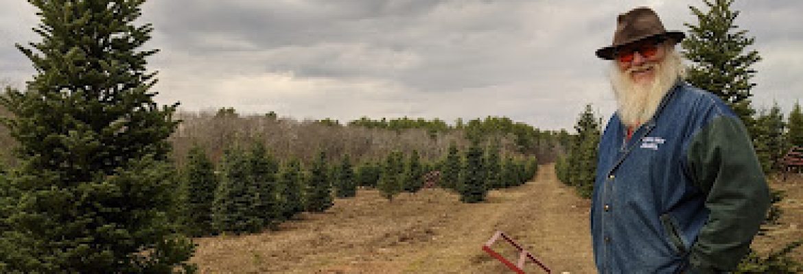 Hartikka Tree Farms