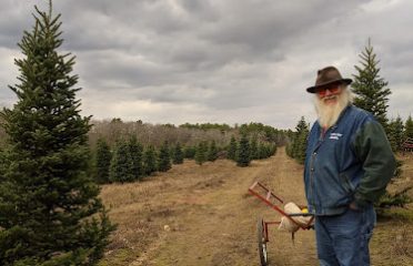 Hartikka Tree Farms