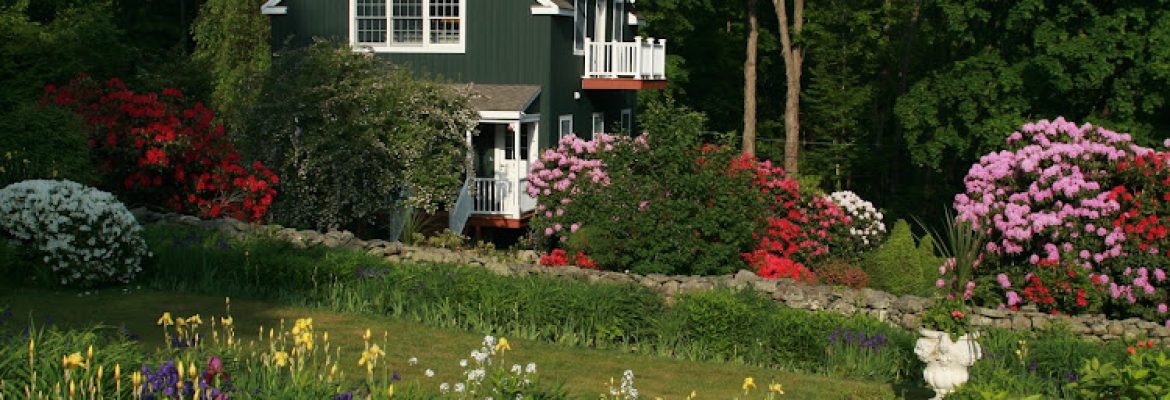 Lobster Pot Studio & Gallery