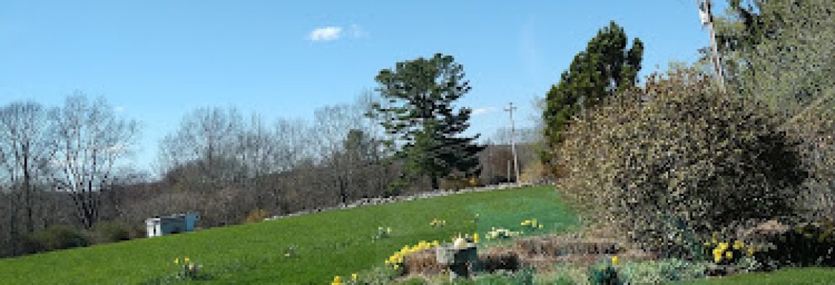 Southwood Alpacas
