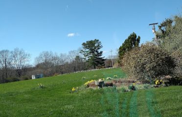 Southwood Alpacas