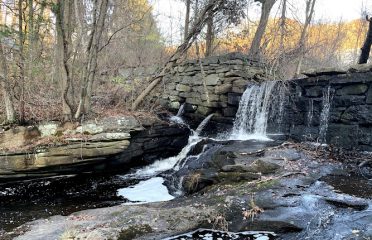 Higganum Reservoir State Park