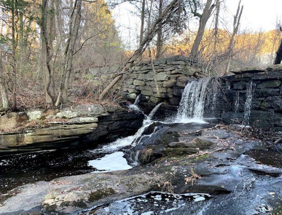 Higganum Reservoir State Park