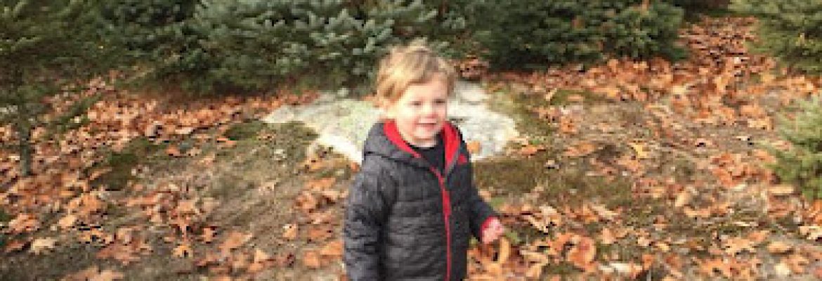Evergreen Acres Tree Farm & Nursery