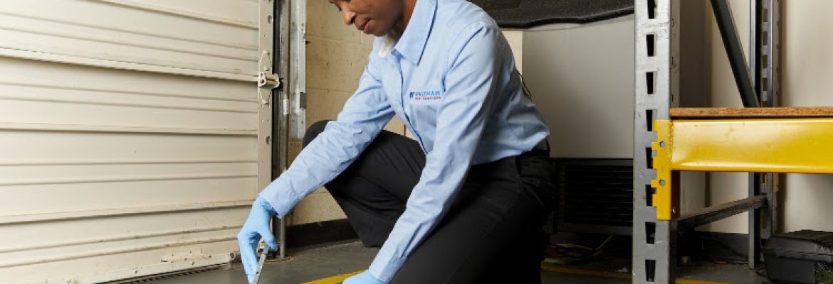 Waltham Pest Services – Pest Control & Exterminator, New London, CT