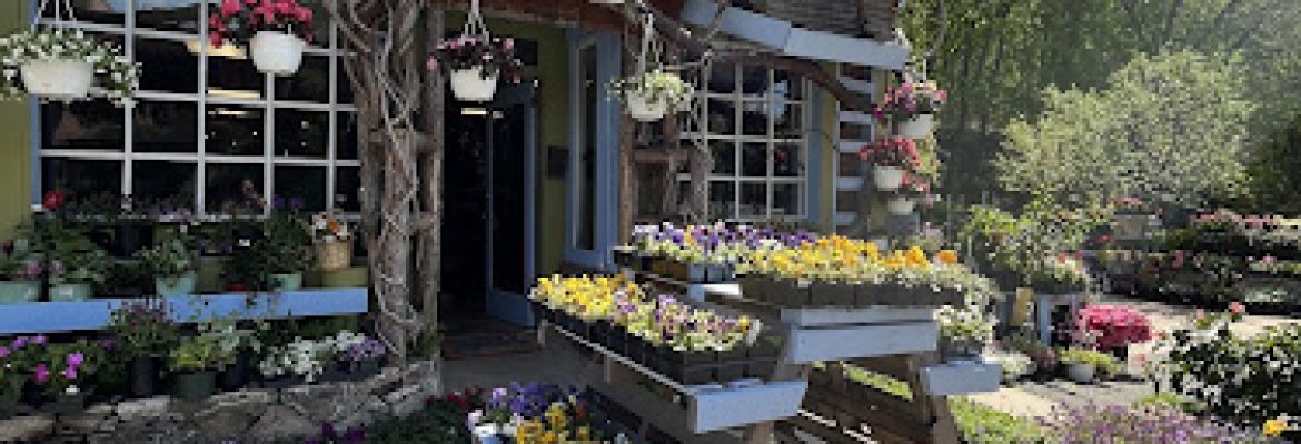 Arch in Bloom