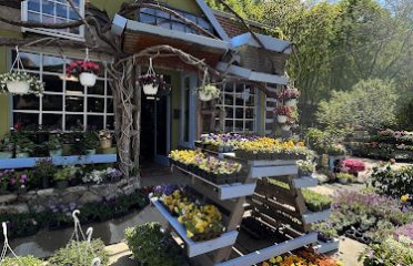 Arch in Bloom
