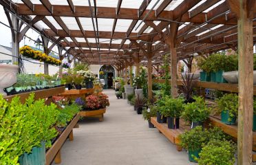 Nielsen’s Florist & Garden Shop