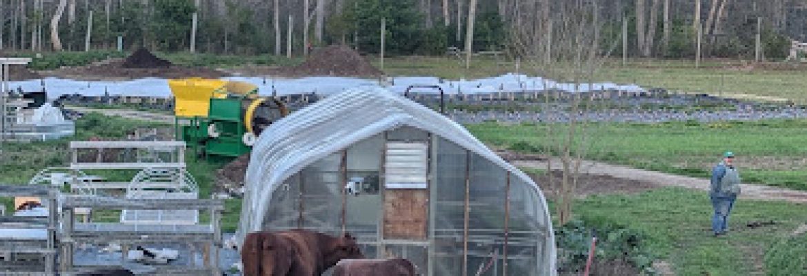 Long Table Farm